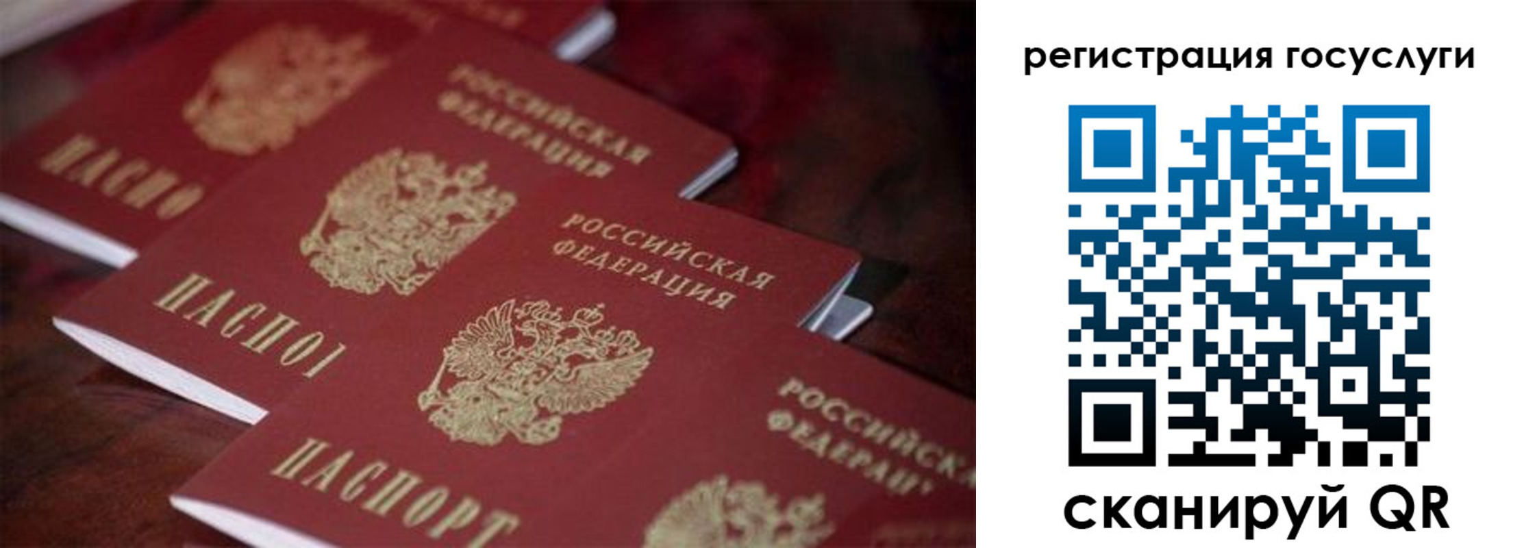 где прописаться в Зеленоградске